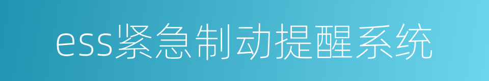 ess紧急制动提醒系统的同义词