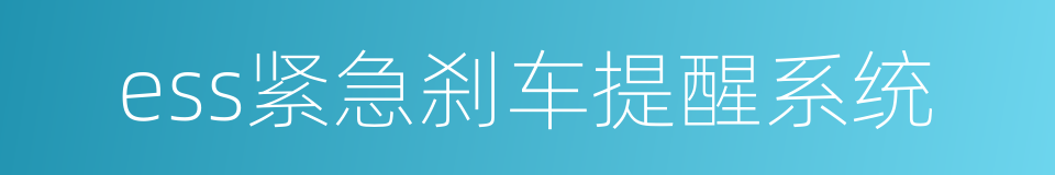 ess紧急刹车提醒系统的同义词