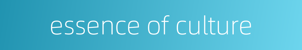 essence of culture的同义词