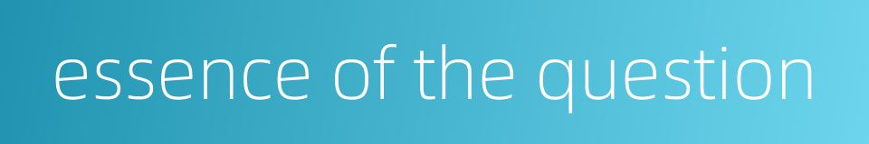 essence of the question的同义词