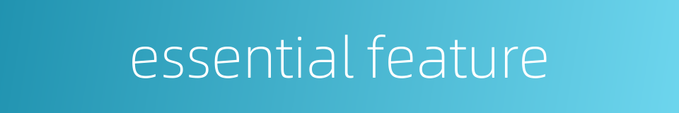 essential feature的同义词