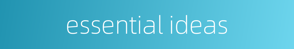 essential ideas的同义词
