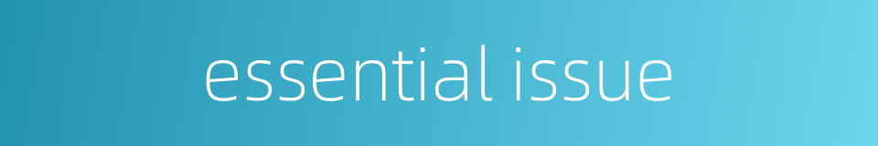 essential issue的同义词