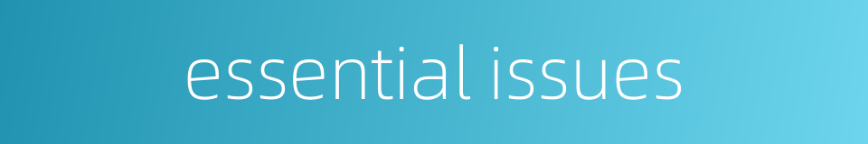 essential issues的同义词