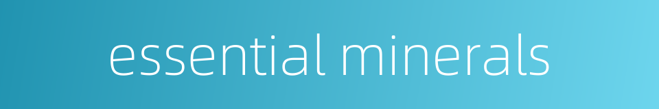 essential minerals的同义词