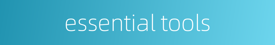 essential tools的同义词
