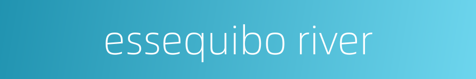essequibo river的同义词