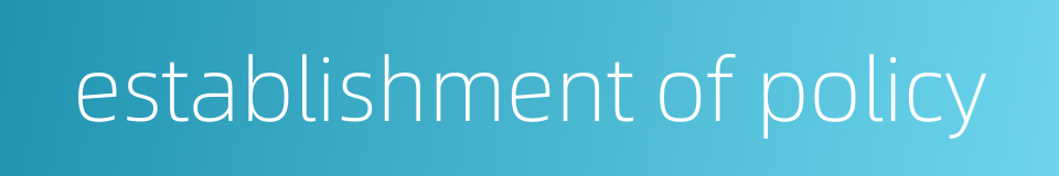 establishment of policy的同义词