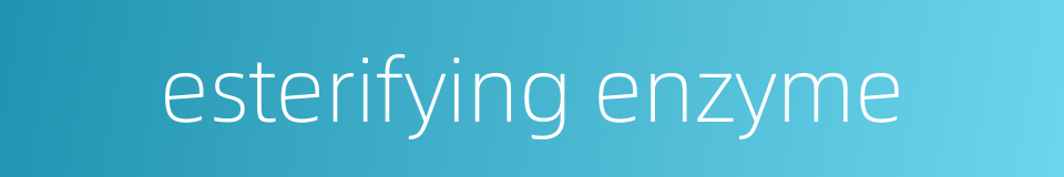 esterifying enzyme的同义词