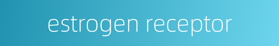 estrogen receptor的同义词