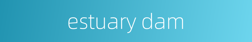 estuary dam的同义词