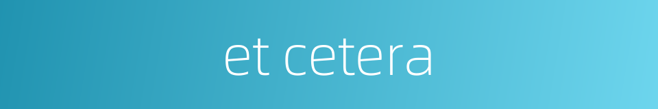 et cetera的同义词