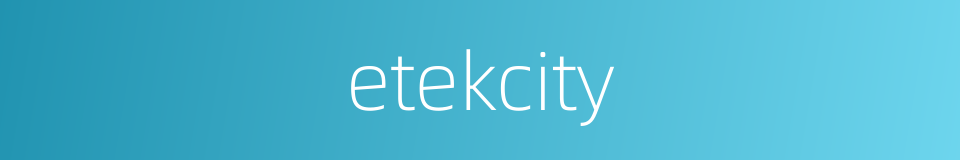 etekcity的同义词