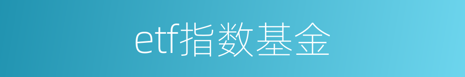 etf指数基金的同义词