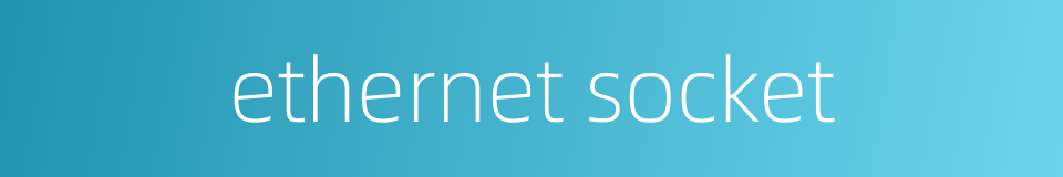 ethernet socket的同义词
