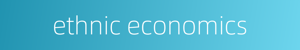 ethnic economics的同义词