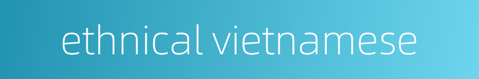 ethnical vietnamese的同义词