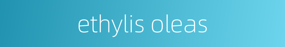 ethylis oleas的同义词