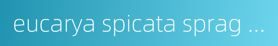 eucarya spicata sprag et summ的同义词