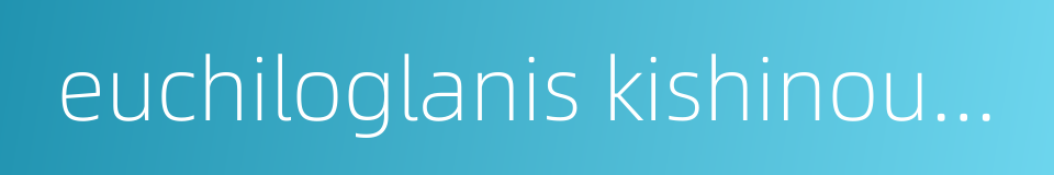 euchiloglanis kishinouyei的同义词