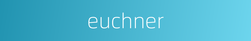 euchner的同义词