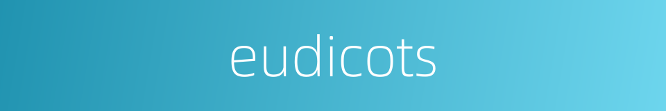 eudicots的同义词