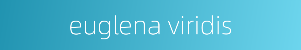 euglena viridis的同义词