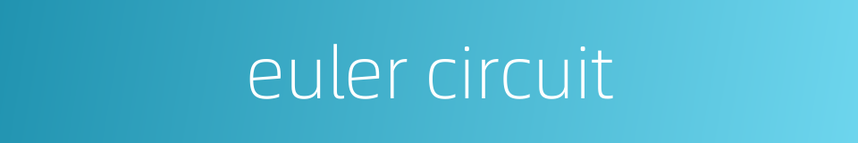 euler circuit的同义词