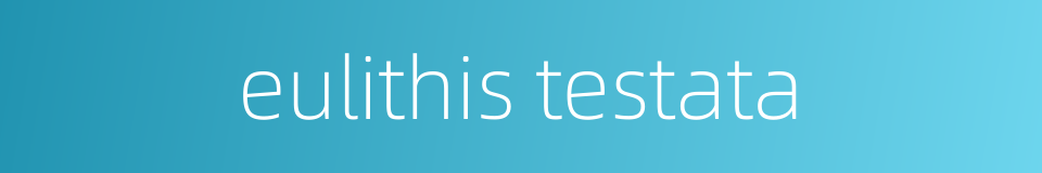 eulithis testata的同义词