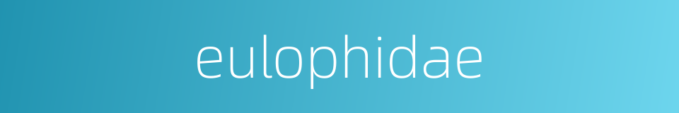 eulophidae的同义词