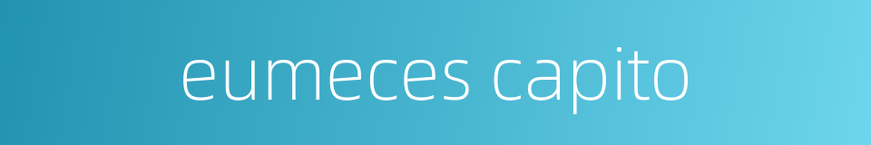 eumeces capito的同义词