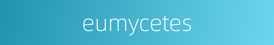 eumycetes的同义词
