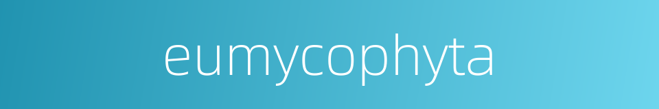 eumycophyta的同义词