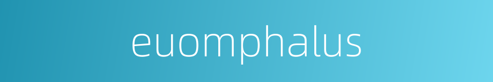 euomphalus的同义词