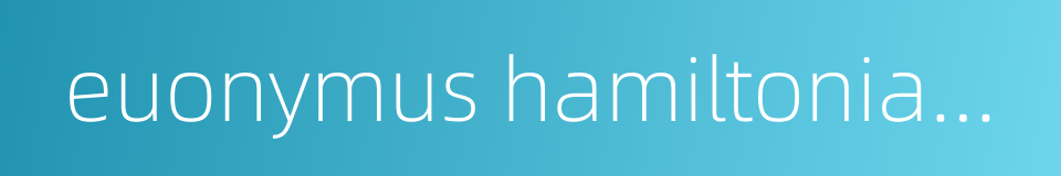 euonymus hamiltonianus的同义词