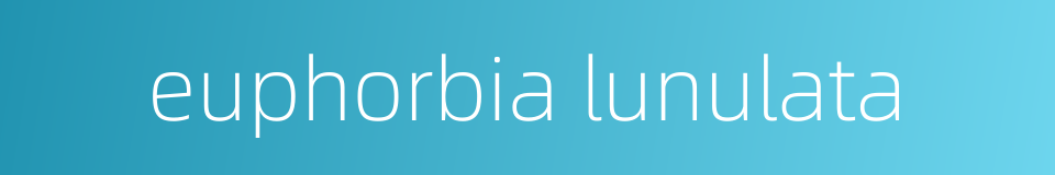 euphorbia lunulata的同义词