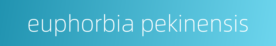 euphorbia pekinensis的同义词
