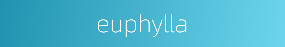 euphylla的同义词