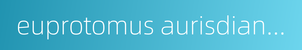 euprotomus aurisdianae的同义词