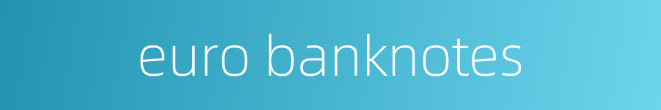 euro banknotes的同义词