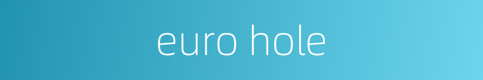 euro hole的同义词