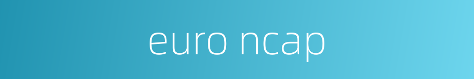 euro ncap的同义词