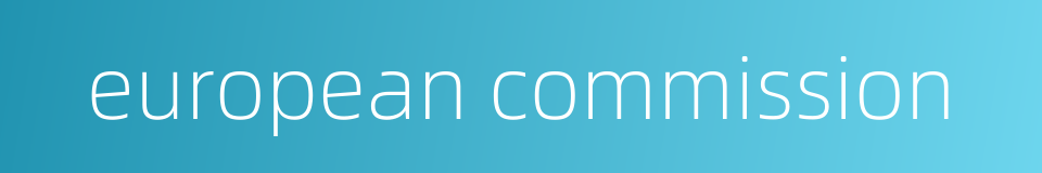 european commission的同义词