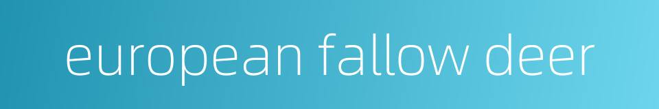 european fallow deer的同义词