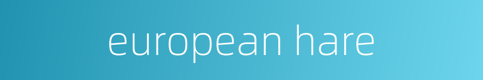 european hare的同义词