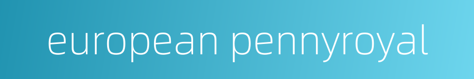 european pennyroyal的同义词