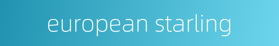 european starling的同义词