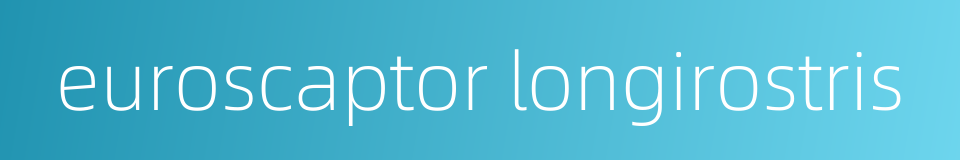 euroscaptor longirostris的同义词