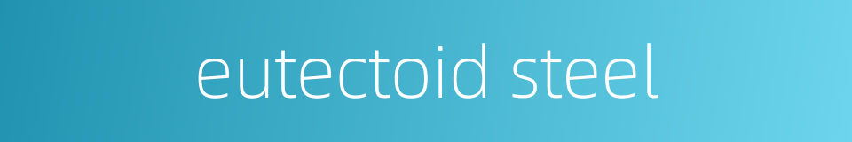 eutectoid steel的同义词