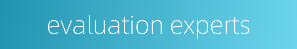 evaluation experts的同义词